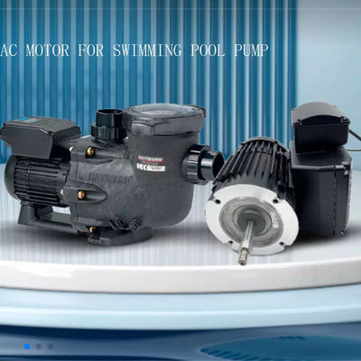 alta monofase di coppia di torsione 220V 1.0HP 1.5HP 50hz 3000rpm del motore elettrico della pompa idraulica 1000w