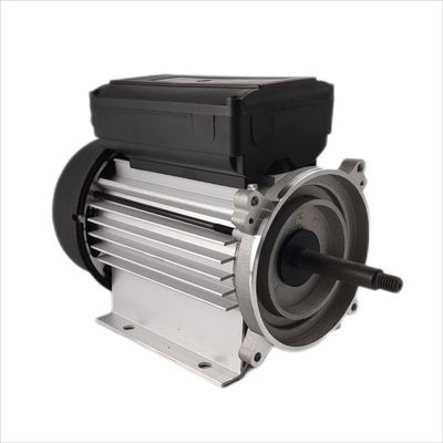 monofase 1hp elettrico 3000rpm del motore sommergibile 300-500W per le pompe di circolazione