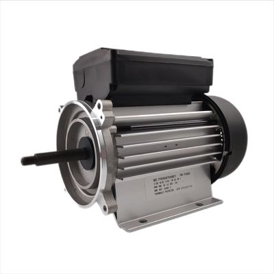 monofase 3000rpm del motore elettrico della pompa idraulica 300-700W per le pompe della vasca e della stazione termale