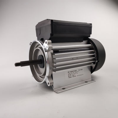 monofase 3000rpm del motore elettrico della pompa idraulica 300-700W per le pompe della vasca e della stazione termale