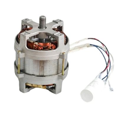 motore asincrono di CA di monofase 1kw 230v 50hz per la falciatrice da giardino