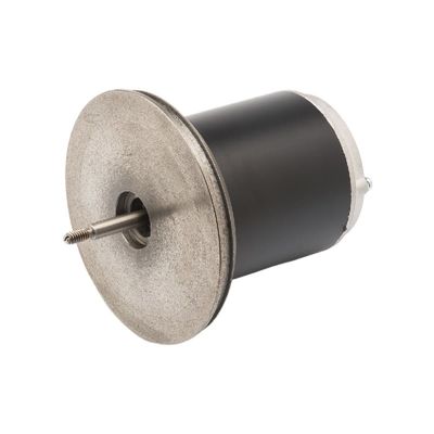 Motore a magnete permanente di CC di 83ZYT 110-220V 300w micro per la macchina della pallina da tennis