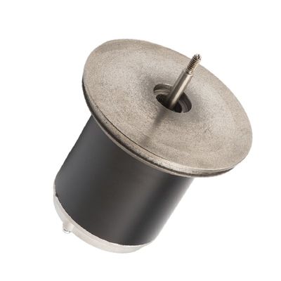 Motore a magnete permanente di CC di 83ZYT 110-220V 300w micro per la macchina della pallina da tennis