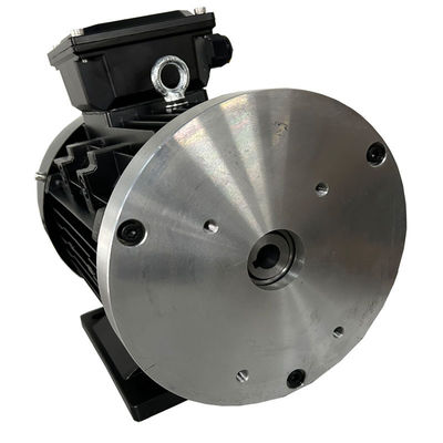 Y100 112 132 Motore senza spazzole a magnete permanente a corrente continua per autovetture a guida idraulica AGV
