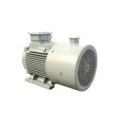Classe F Motore elettrico ad alta efficienza a magnete permanente da 50 CV