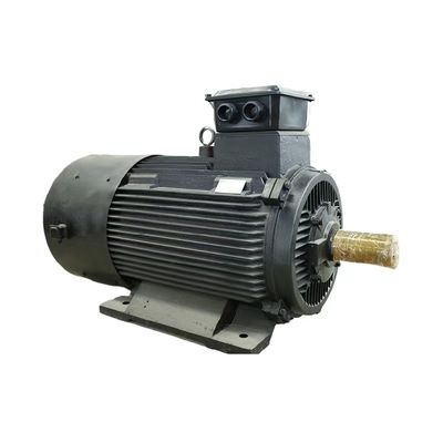 Capacità massima di 50 kg di farina Magnete permanente Motore sincrono IEC/DIN Standard Air/Water Cooling