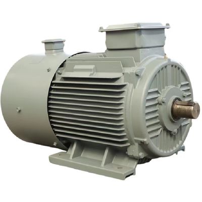 Capacità massima di 50 kg di farina Magnete permanente Motore sincrono IEC/DIN Standard Air/Water Cooling
