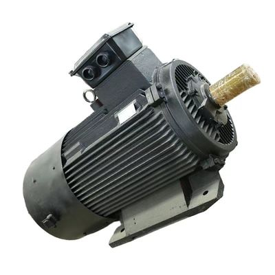 Capacità massima di 50 kg di farina Magnete permanente Motore sincrono IEC/DIN Standard Air/Water Cooling