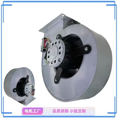 Modelli di ventilatori centrifugali CE ad alte prestazioni a basso rumore da 7-7 a 12-12 con motore BLDC per serre e stanze pulite